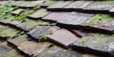 Tongwell roof repair costs